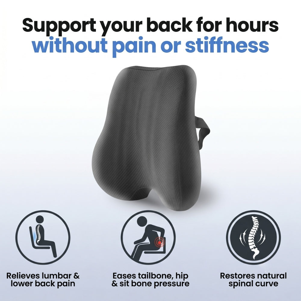 AirGrid Premium Lumbar Pillow