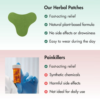 24pc Herbal Back Pain Relief Patches